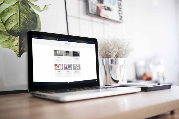Why Every Business Needs A Website